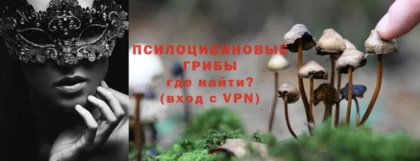 МДПВ Сосновый Бор
