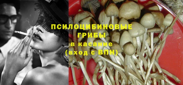 МДПВ Сосновый Бор