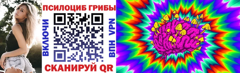 Купить  Кувандык  Галлюциногенные грибы Psilocybe 